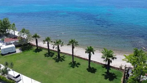 '