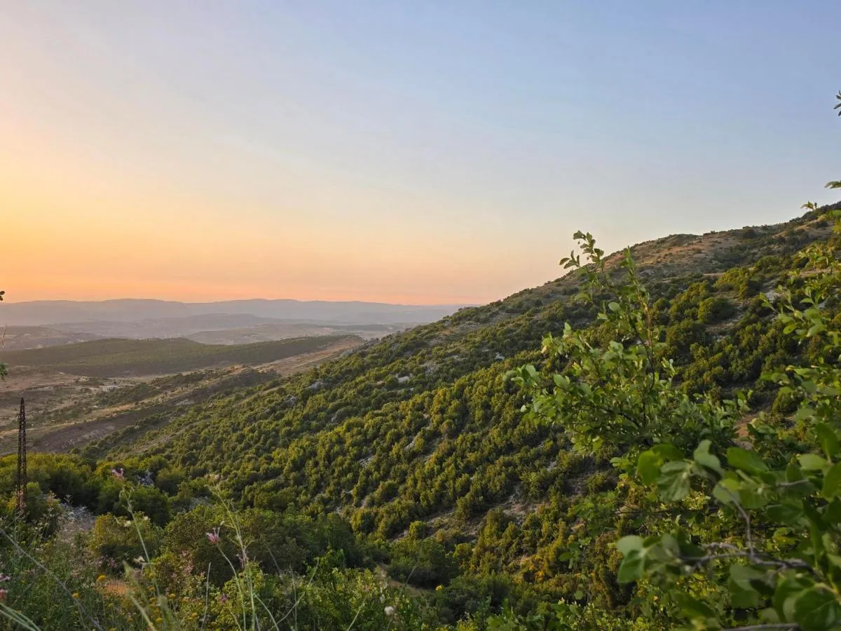 Ekati Mare Boutique Hotel & Suites