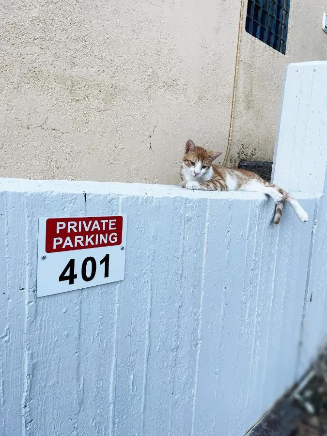 '