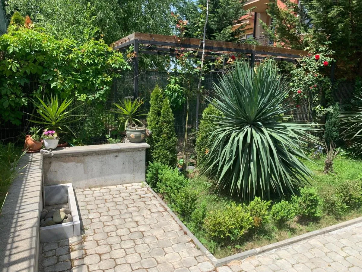 '