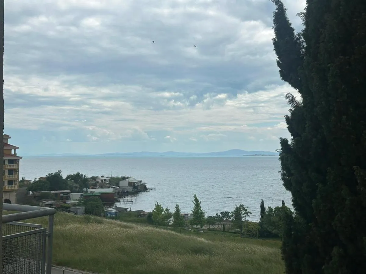 '