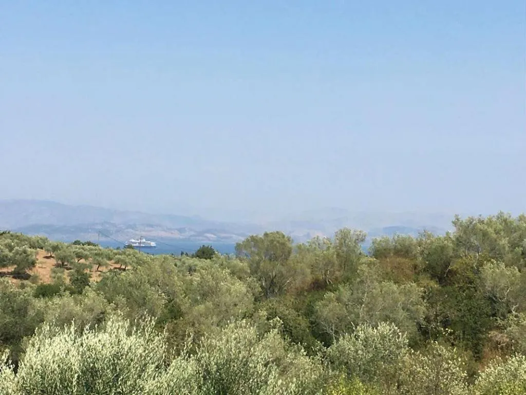 '