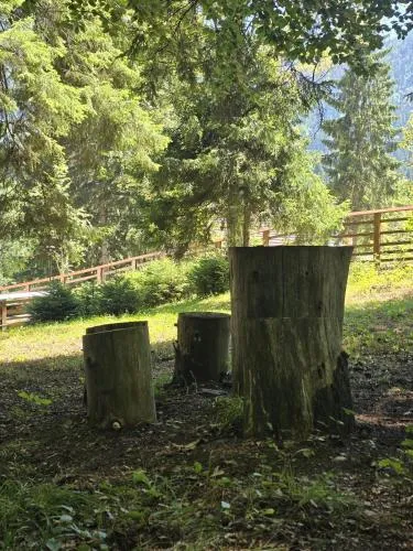 '