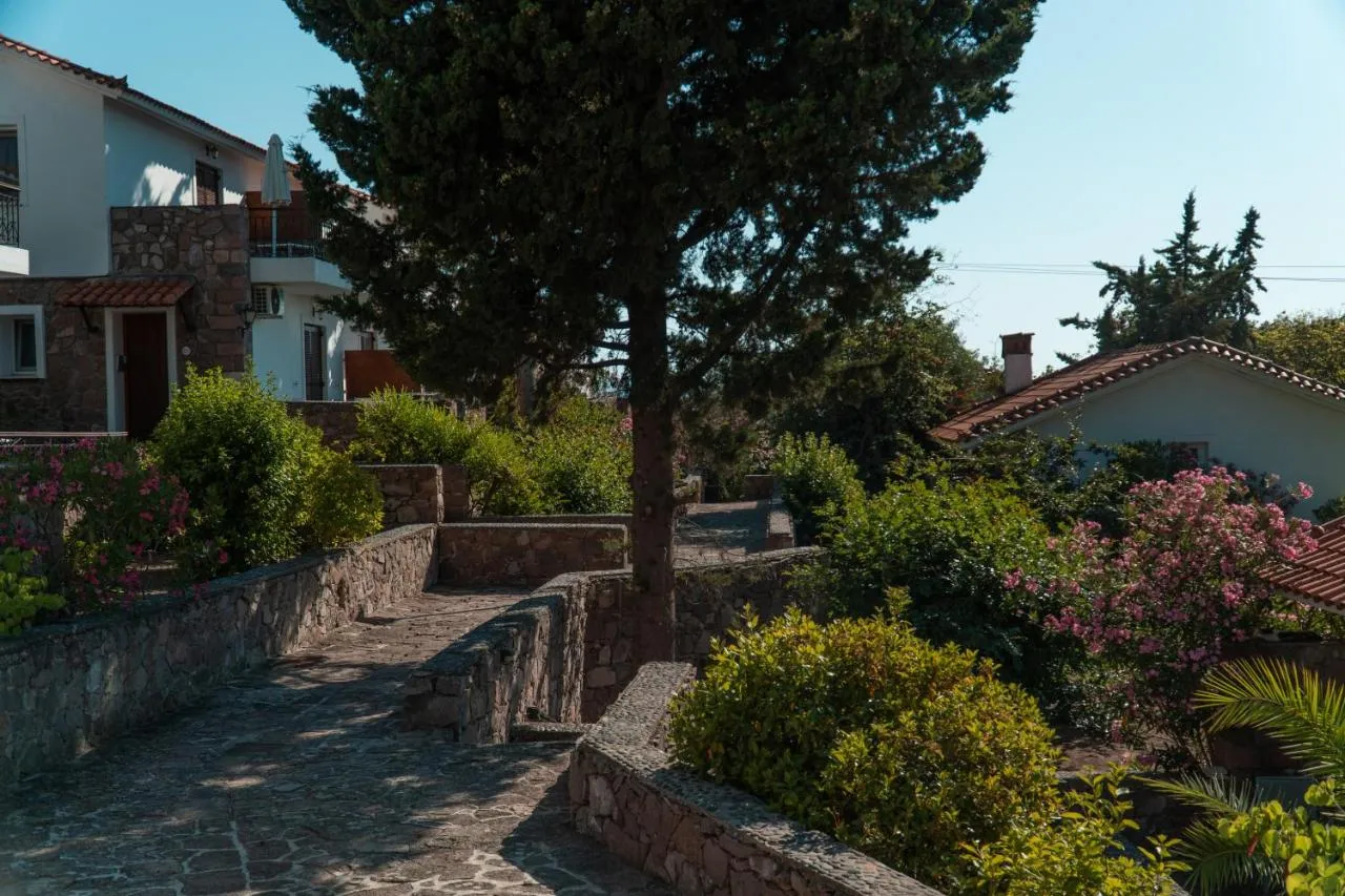 '