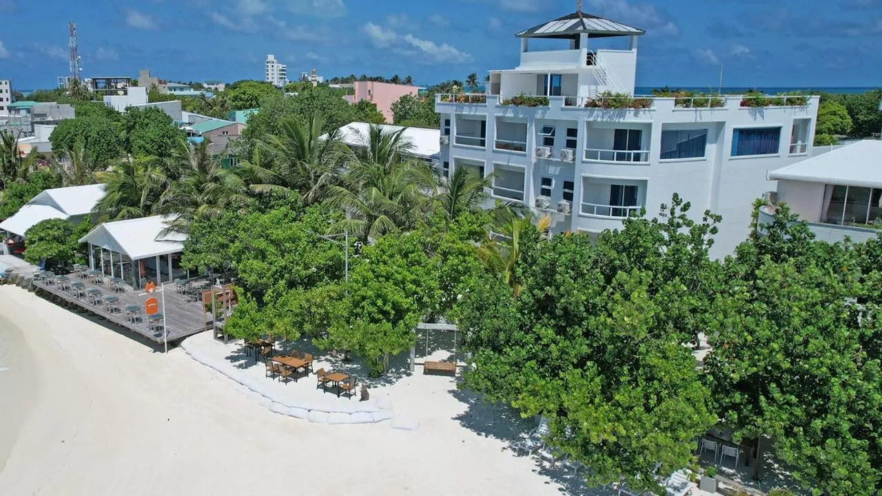Rashu Hiyaa
