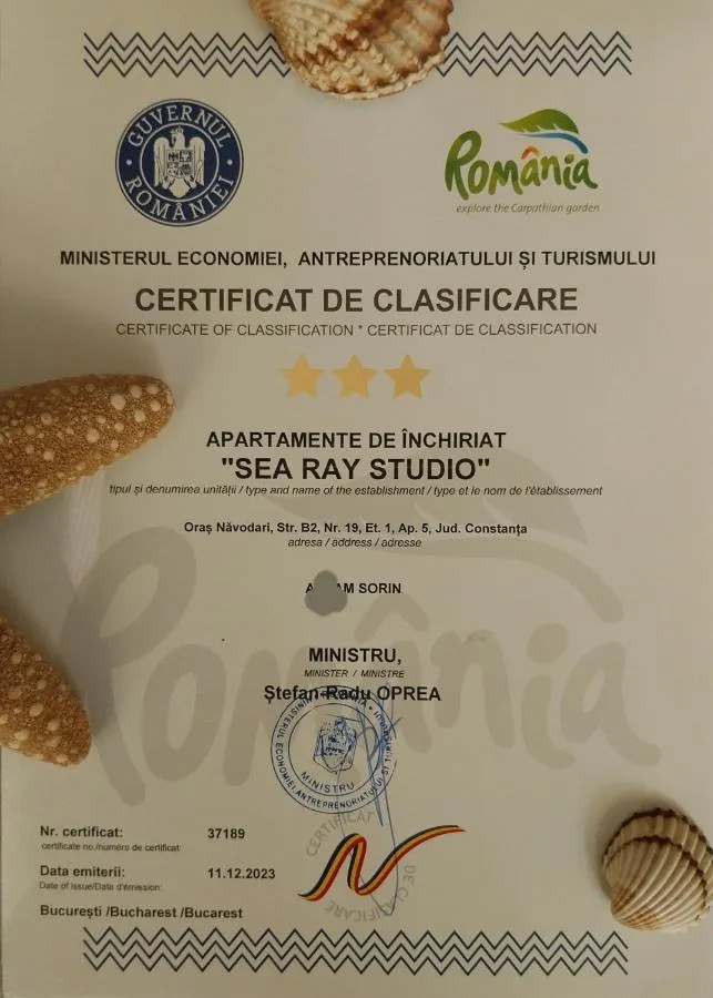 Sea Ray Studio