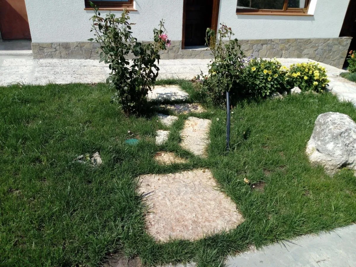 '
