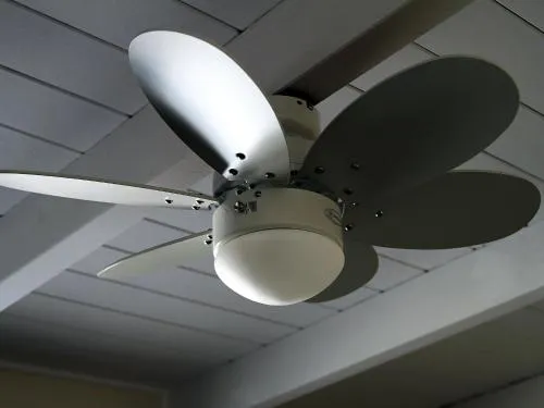 '