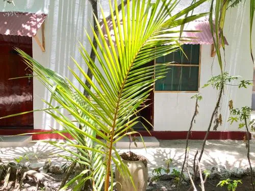 '