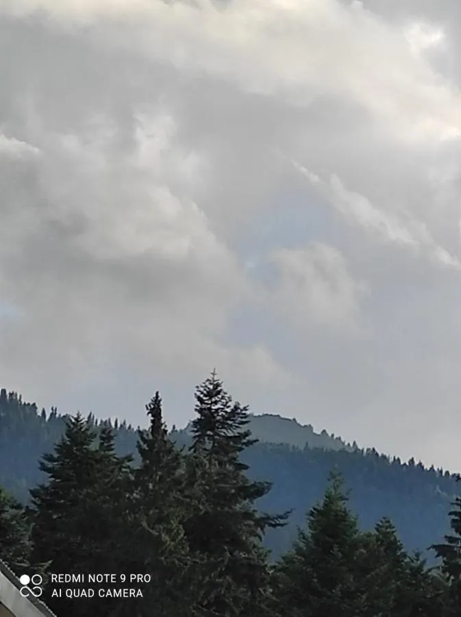 '