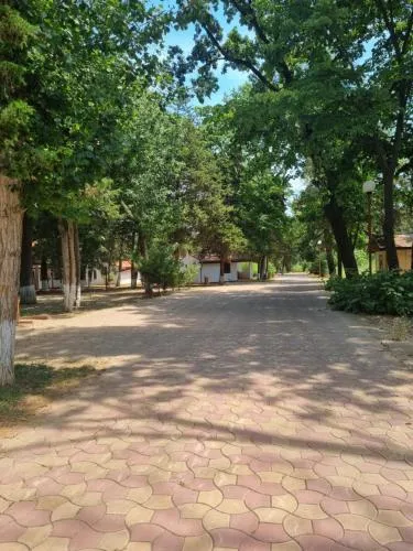 '