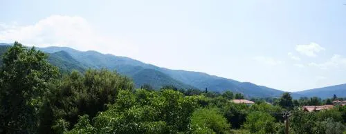 '
