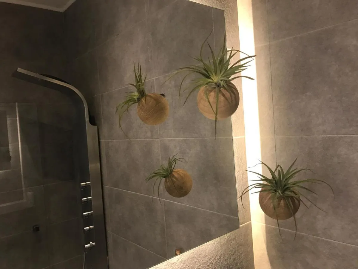 '