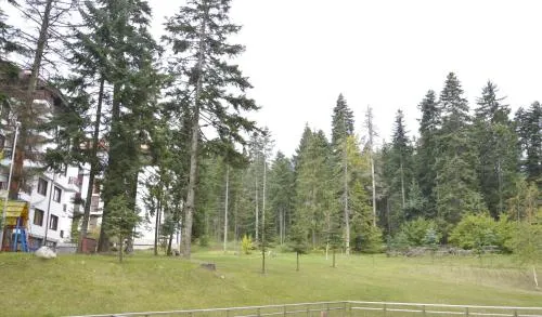 '