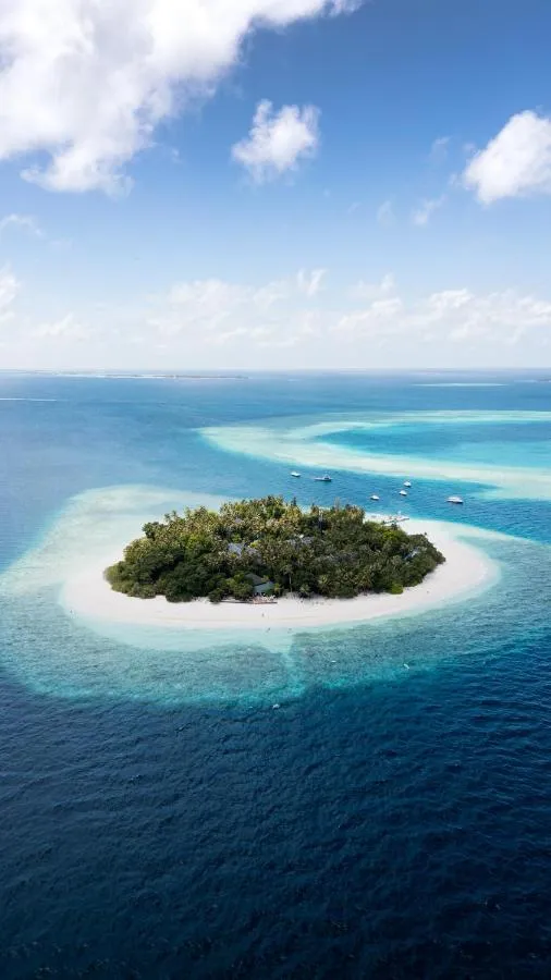 Malahini Kuda Bandos